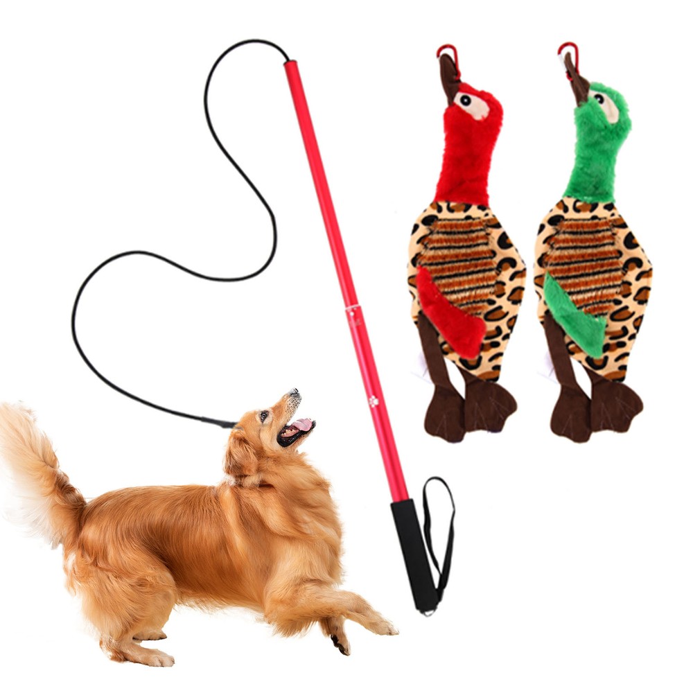 Interactive Flirt Pole Toy - Puppy Wand Rope to Chase and Tug of War, Durable