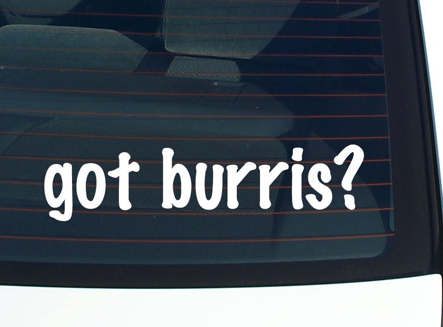 got burris? CAR DECAL BUMPER STICKER VINYL FUNNY LAST NAME WINDOW PRIDE