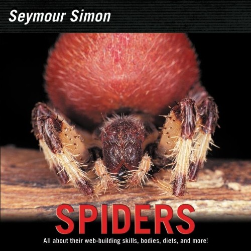 Seymour Simon Spiders (Paperback)