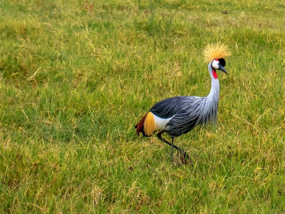 Cute Digital Art Wallpaper Desktop Background Poster Image