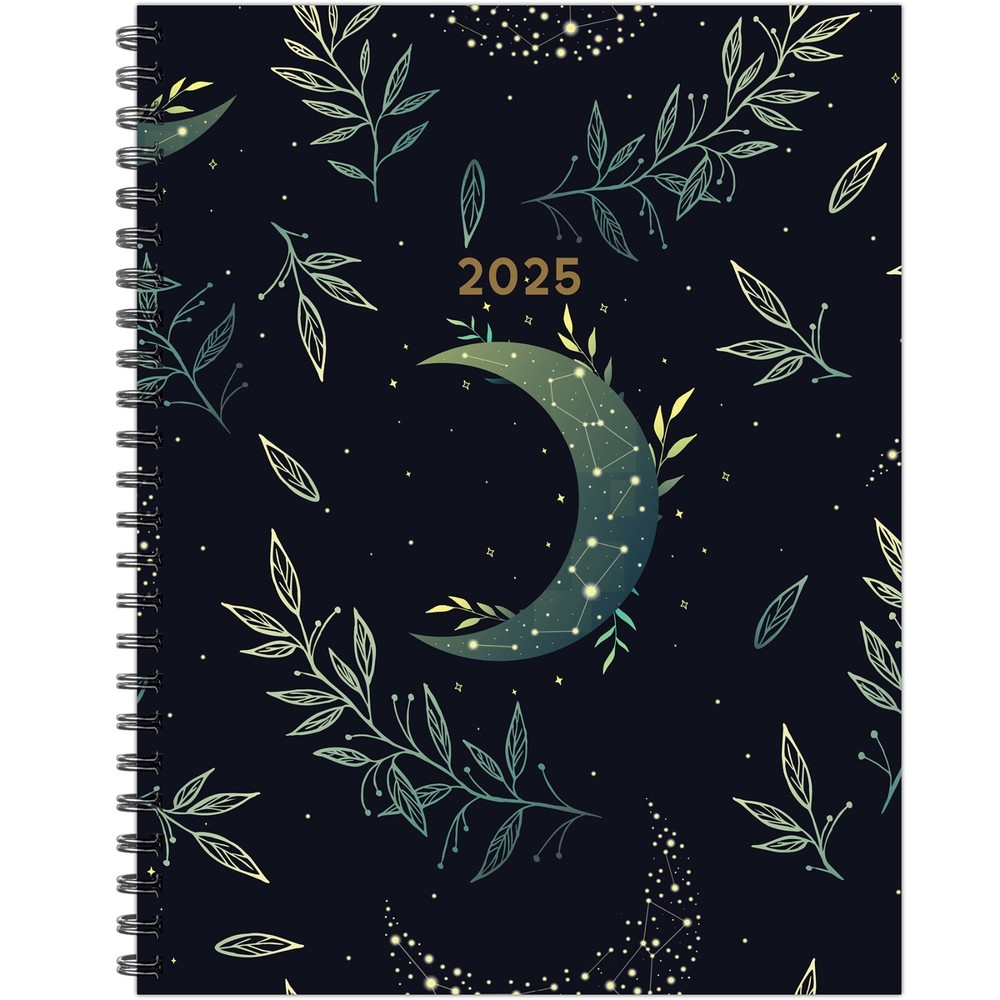 Moonlight Mystique 2025 8.5