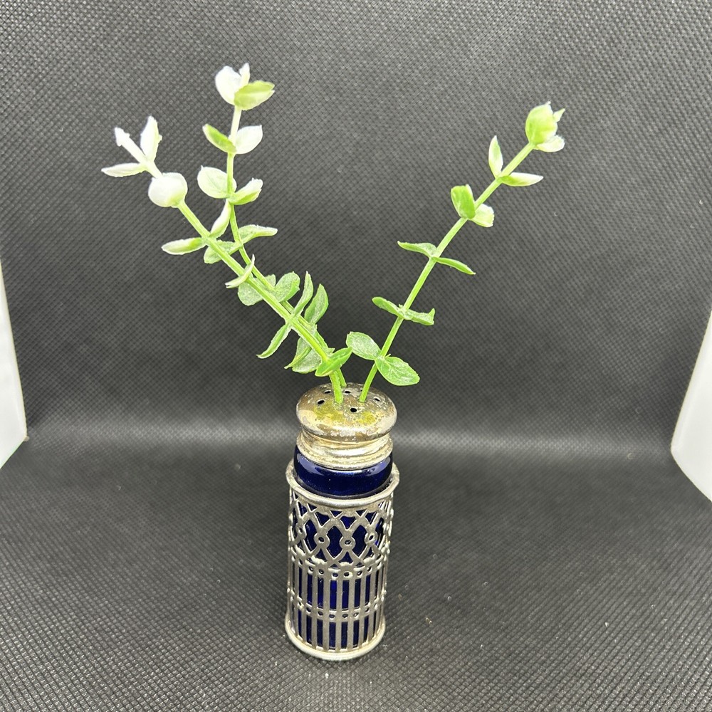 Antique Leonard Silverplated Salt Shaker with Engraved Greenery Design