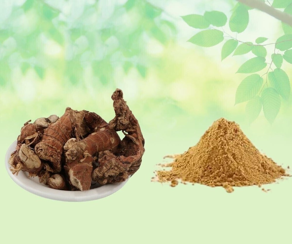 Alpinia Galanga Wild Powder - Kulanjan Kulinjan Paan Root Powder  