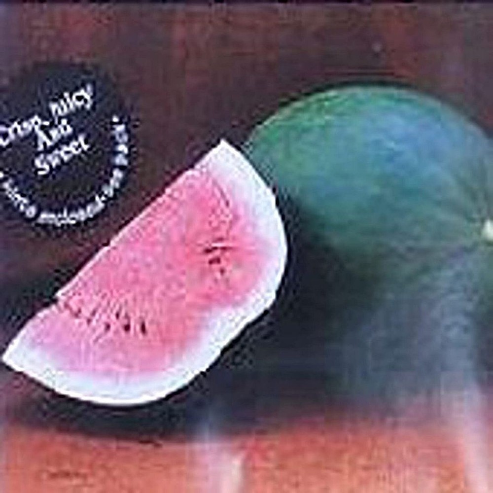 25 Seeds Florida Giant Watermelons Seeds (More Heirloom Organic Non GMO Vegetabl