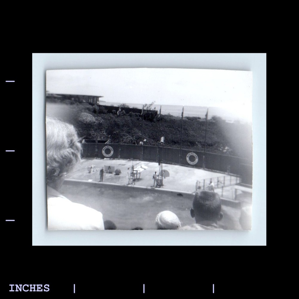 Vintage Photo AUDIENCE MARINELAND AQUARIUM PERFORMANCE