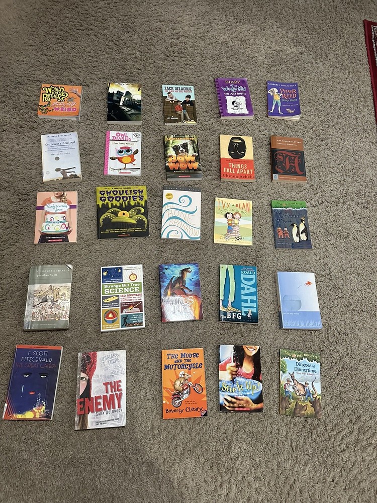 25 Book Bundle for adults teens, kids, literature, fiction novels like new