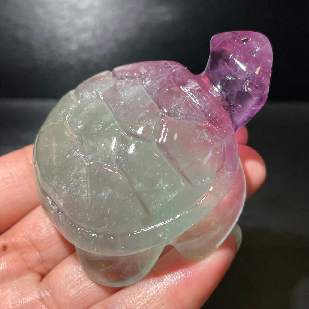 200g Natural Fluorite Turtle Skull Carved Quartz Crystal Skull Healing 1PC