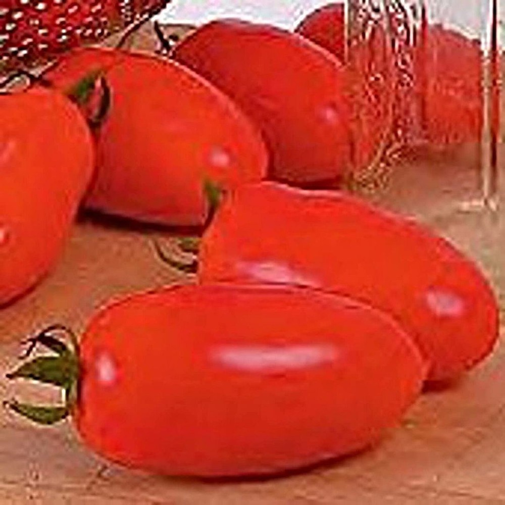 San Marzano 2 Tomato Seeds (More Heirloom Organic Non GMO Vegetable Fruit Herb F