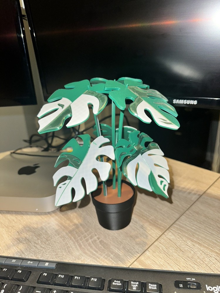 Monstera Leaf Plant Coaster Set Tropical Decor Centerpiece