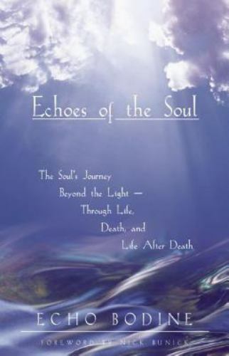 Echoes of the Soul: The Soul's Journey Beyond the Light