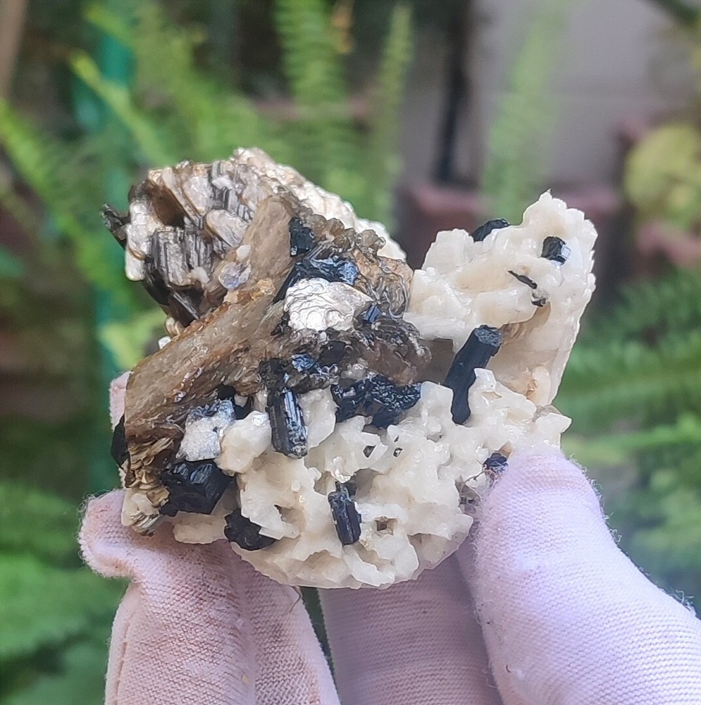 Black Tourmaline Schorl with Elbite and Mica Crystal Specimen from Skardu