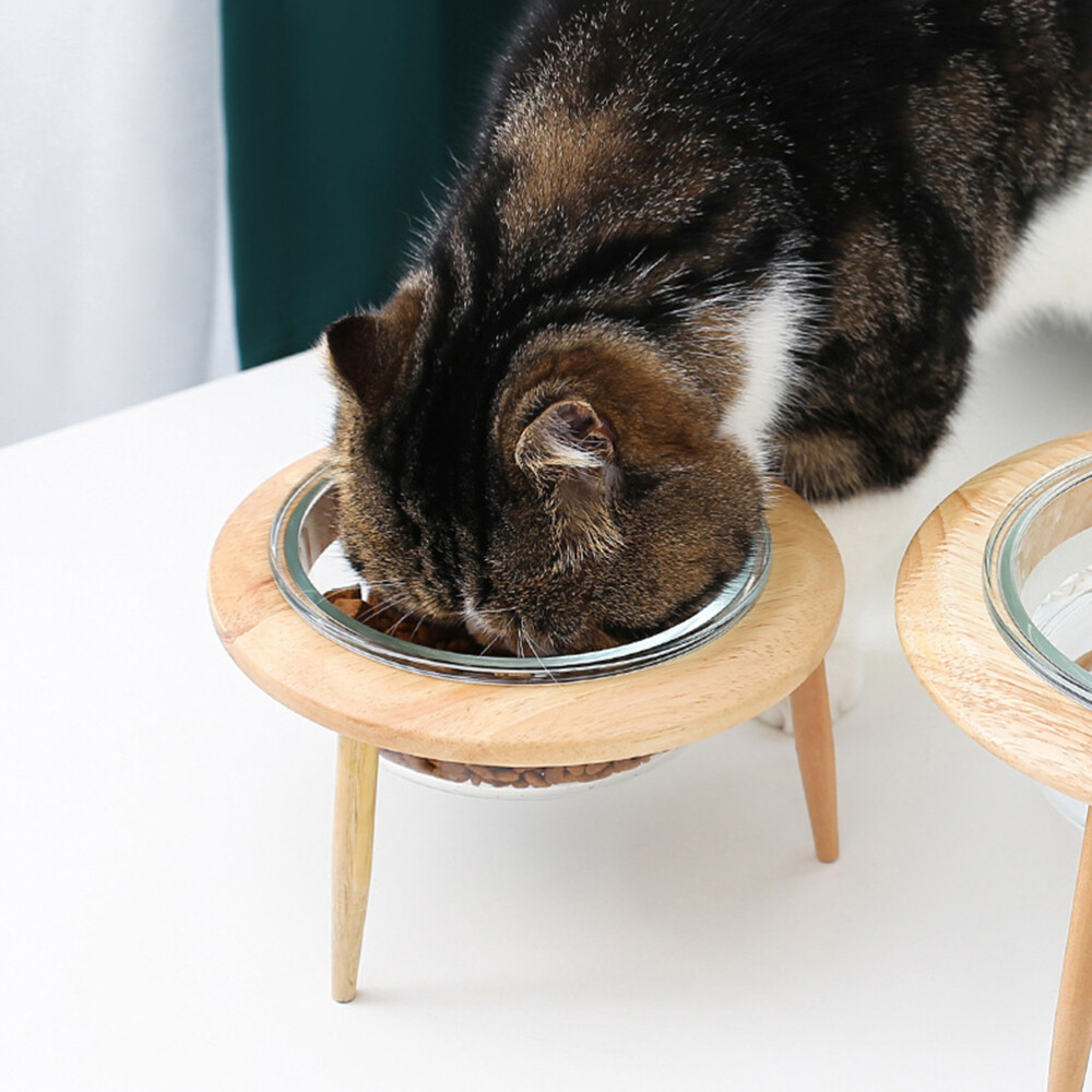 Khaki Pet Glass Bowl with Neck Protection for Cat Food and Water  