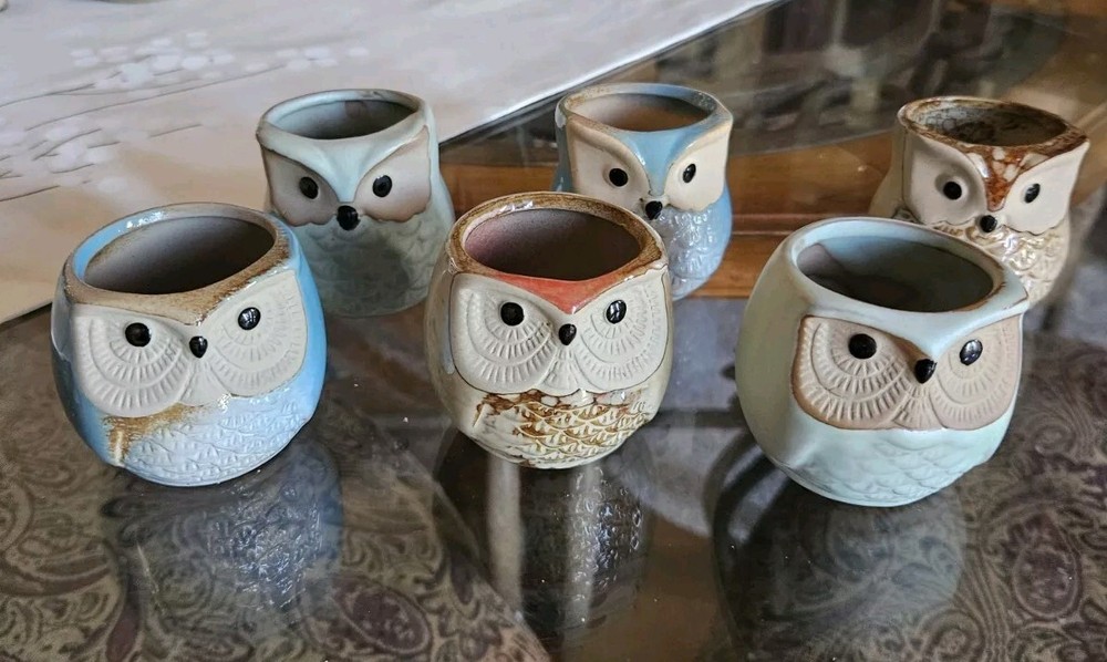 Ceramic Owl Succulent Planter Pots ~ Set of 6 ~ ADORABLE SET OF OWLS