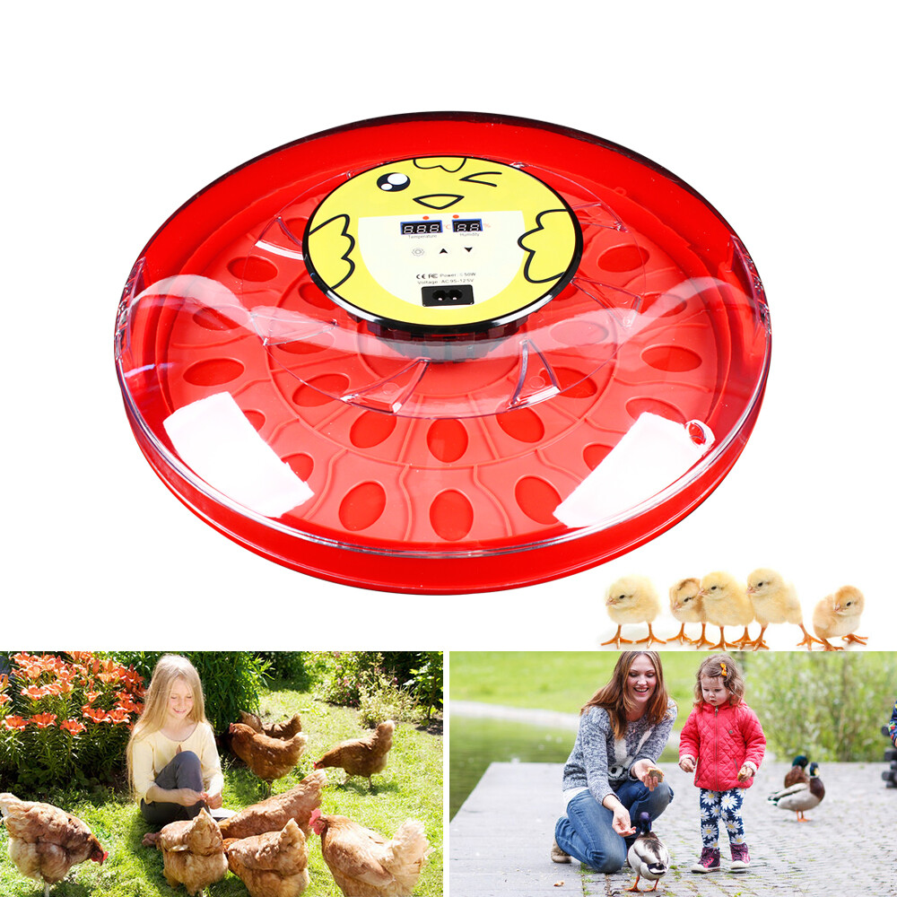 30 Eggs Digital Egg Incubator Automatic Egg Turning Egg Hatcher Machine