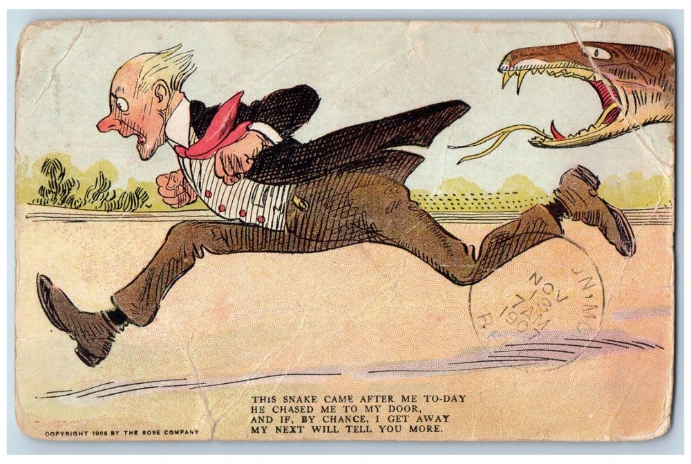 Westboro MO Postcard Installment Puzzle This Snake Came After Me To Day 1907-image