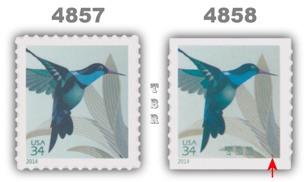 4857-58 4858 Hummingbird 34c USA American Wildlife Set of 2 2014 MNH - Buy Now-image