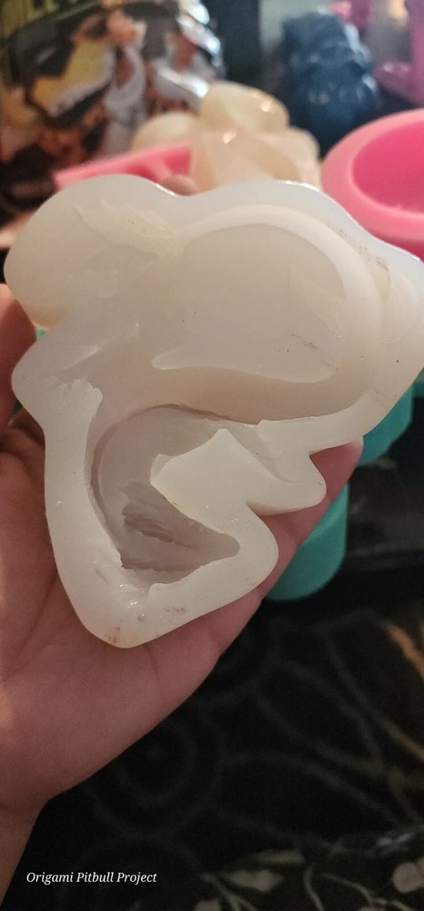 water dragon mold used