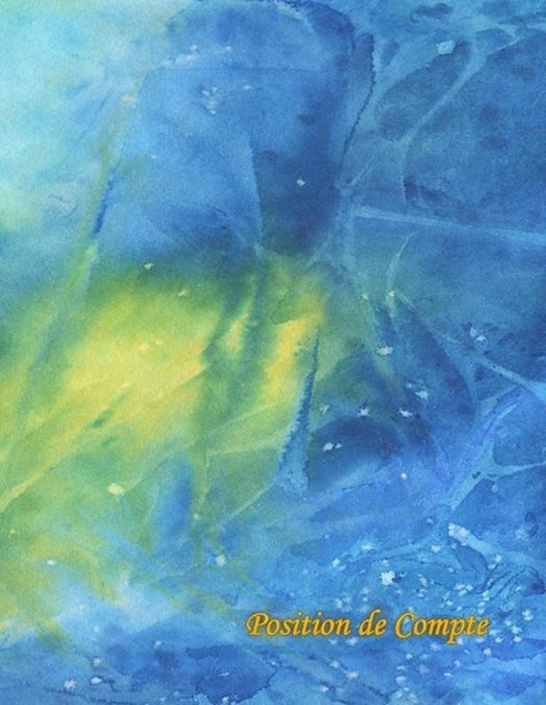 Position de Compte: livre comptable by Account Book Column Book (French) Paperba