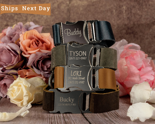 Dog Collar, Cat Collar Personalized Pet Collar Leather Custom - XS, S, M, L, XL