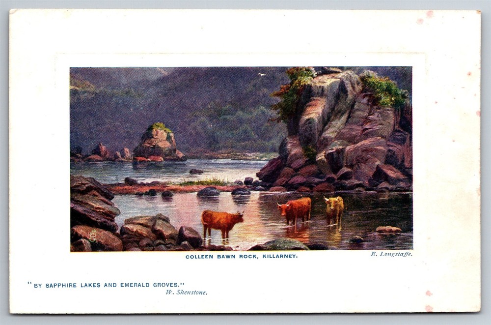 Oilette Killarney Colleen Bawn Rock Killarney Loch Ireland Tucks Postcard G11