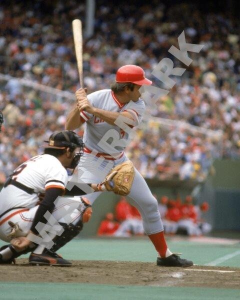 JOHNNY BENCH Cincinnati Reds 8 x 10 Photo Poster Baseball