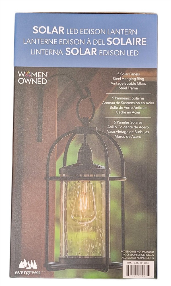 Evergreen Enterprises Solar LED Edison Lantern