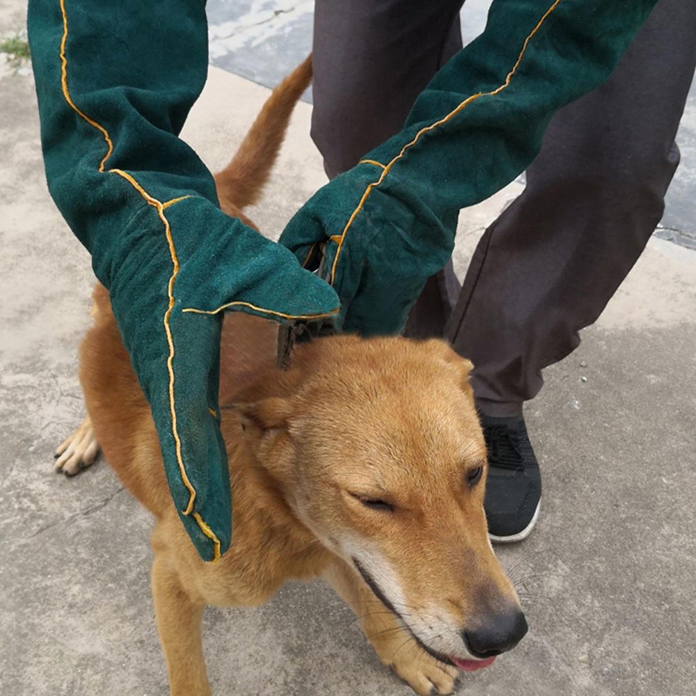 Leather Gloves Animal Handling Dog Cat Scratch Snake Bite Proof Long Mitts