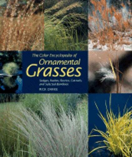 Color Encyclopedia of Ornamental Grasses Sedges Rushes Restios Cat-Tails