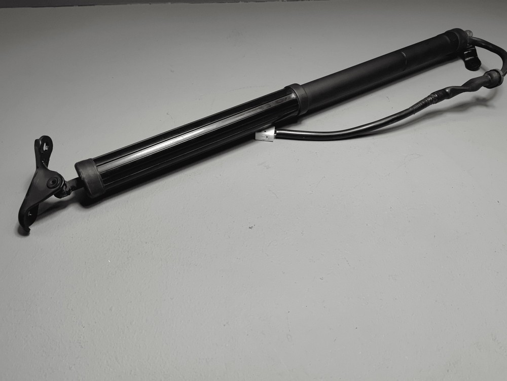 Liftgate Passenger Side Lift Support Cylinder 2019-2023 Toyota Rav4 Hybrid  OEM