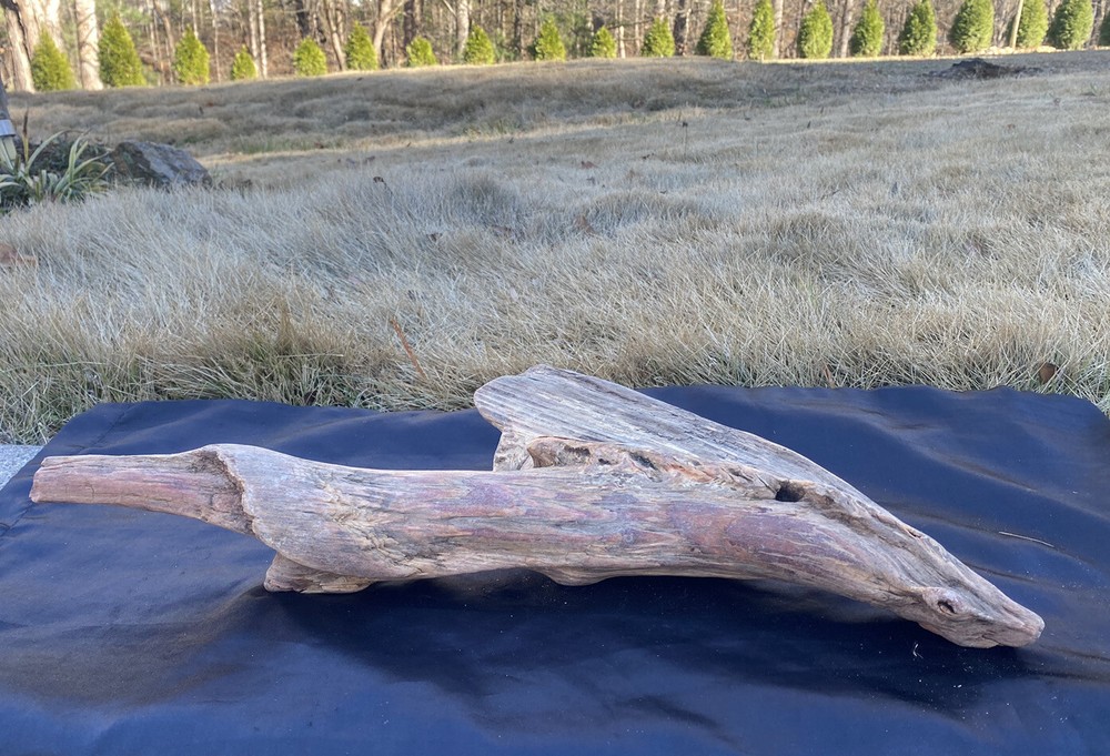 Large Pine Wood Driftwood Terrarium  Crafts Art Wood Home Decor Taxidermy