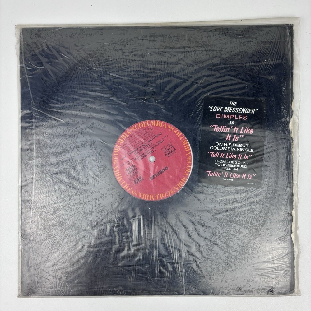 Dimples PROMO SINGLE “Tell It Like It Is” 12” Vinyl Record Album Stereo 1987