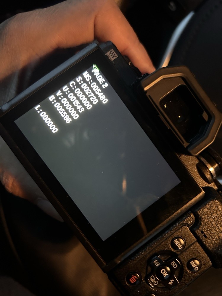 Olympus OM-D E-M10 Mark IV working great with E-shutter As-Is Body only