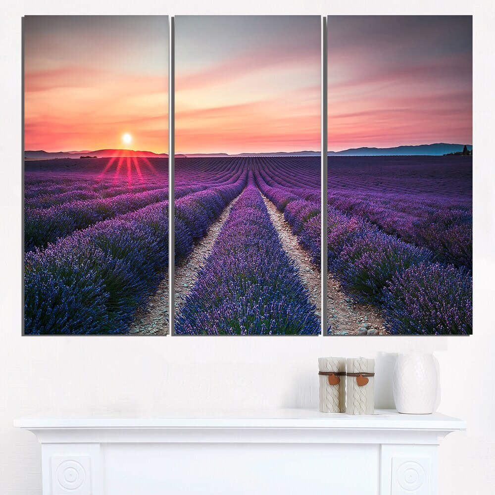 Endless Rows of Lavender Flowers - Modern Landscape Wall Art Blue 36 in. wide x