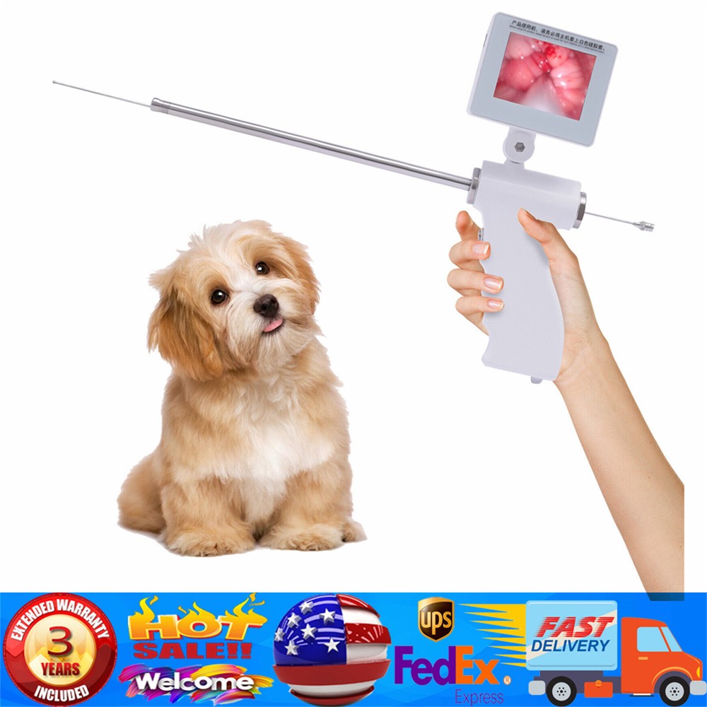 Handheld Visual AI Breeding Gun Kit for Dogs – Artificial Insemination Tool-image