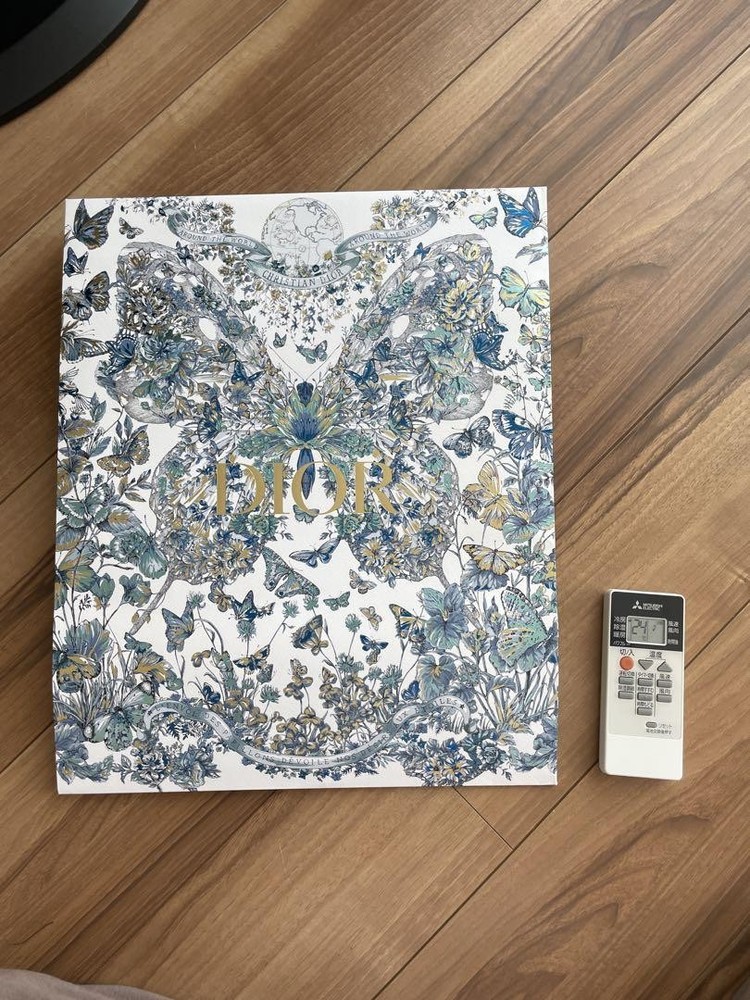 Dior 2023 Holiday Limited Shopper Bag with Butterfly Print