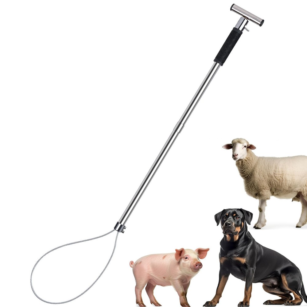 Dog Catcher Pole Animal Control Pole Stainless Steel Pig Holder Catcher Cat C...
