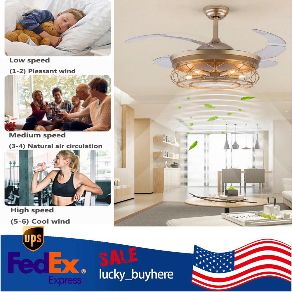 42-Inch Retractable Caged Ceiling Fan with Light, 6-Speed Remote Control Chandelier