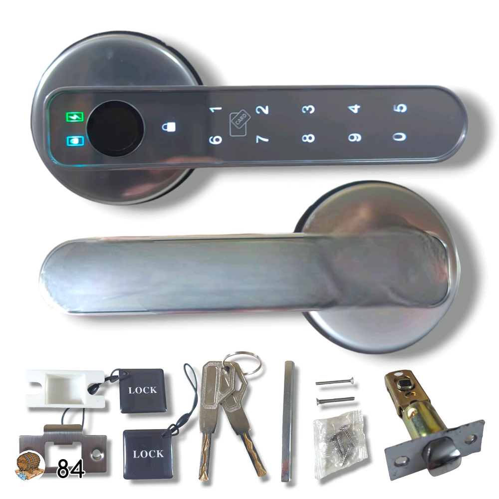 Biometric Fingerprint Bedroom Lever Door Lock with Key and Smart App Access-image