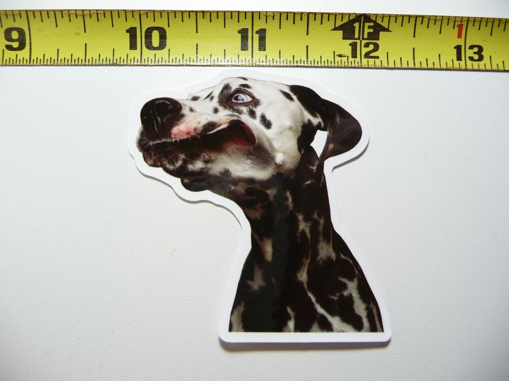 DALMATIAN CATCHING TREAT FUNNY DOG DECAL STICKER PET PLAY FURBALL
