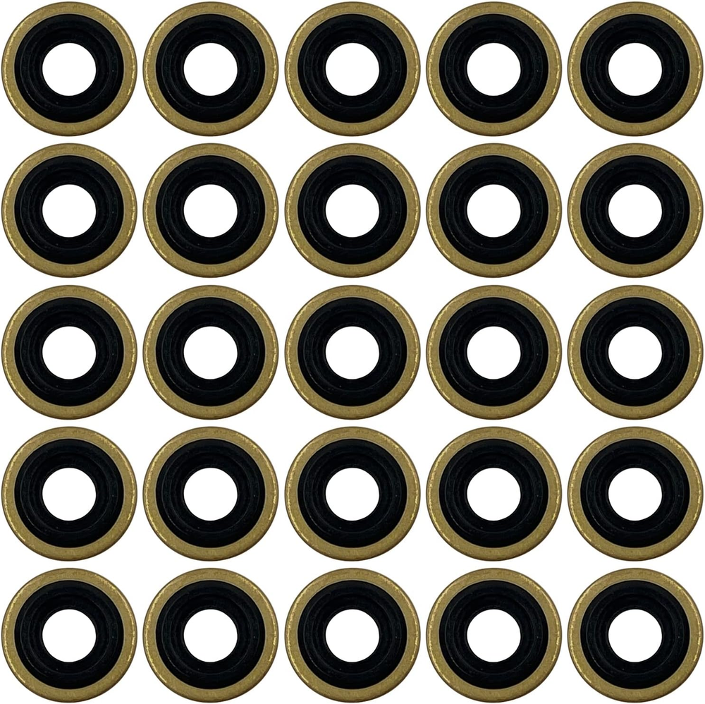 25Pk Oxygen Regulator Yoke Washer Seals