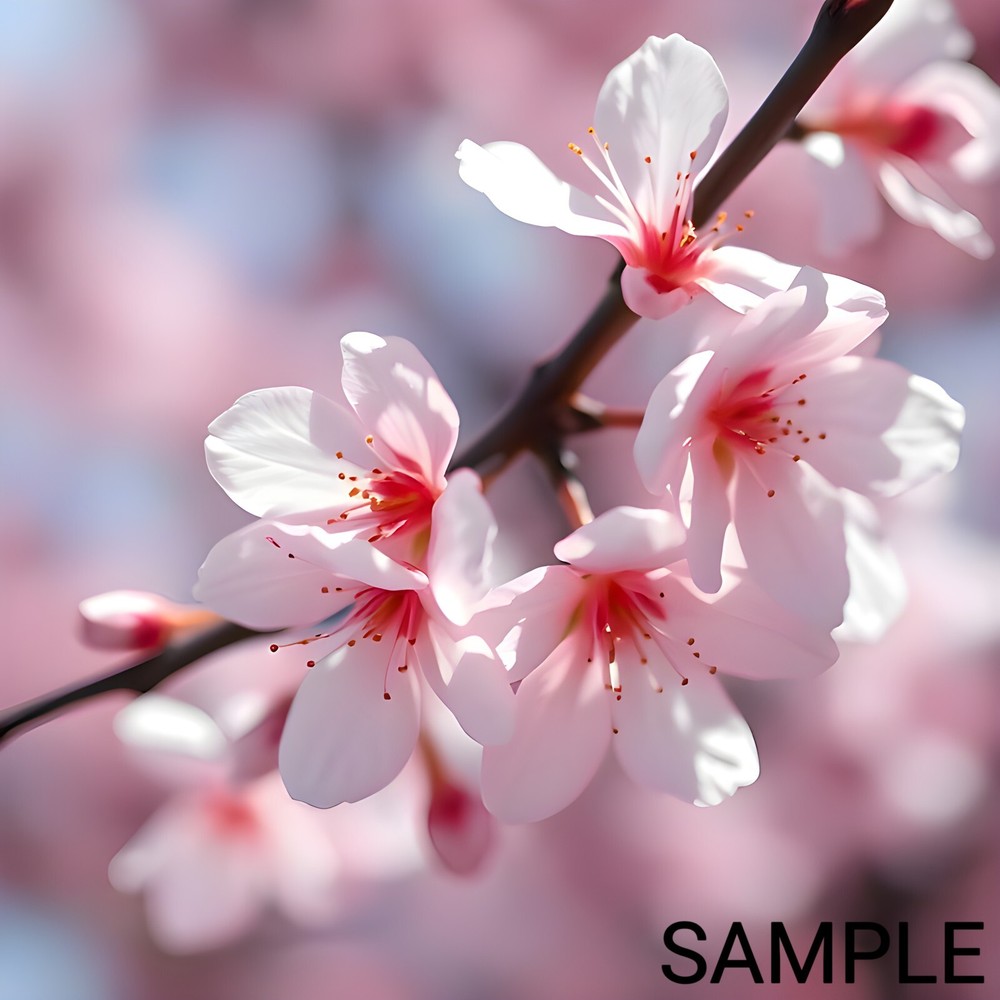 Digital Printable Art for Wallpapers Home Decor Cards Gifts