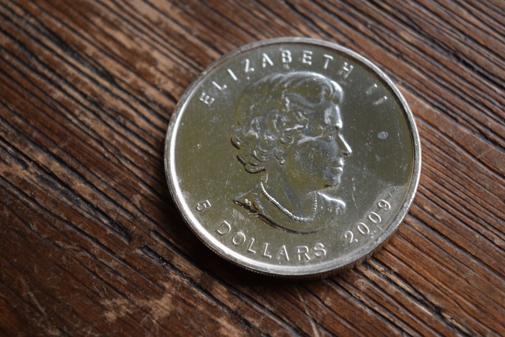 ONE 2009 $5 One Oz. 9999 Fine Silver ~ Canadian Maple Round