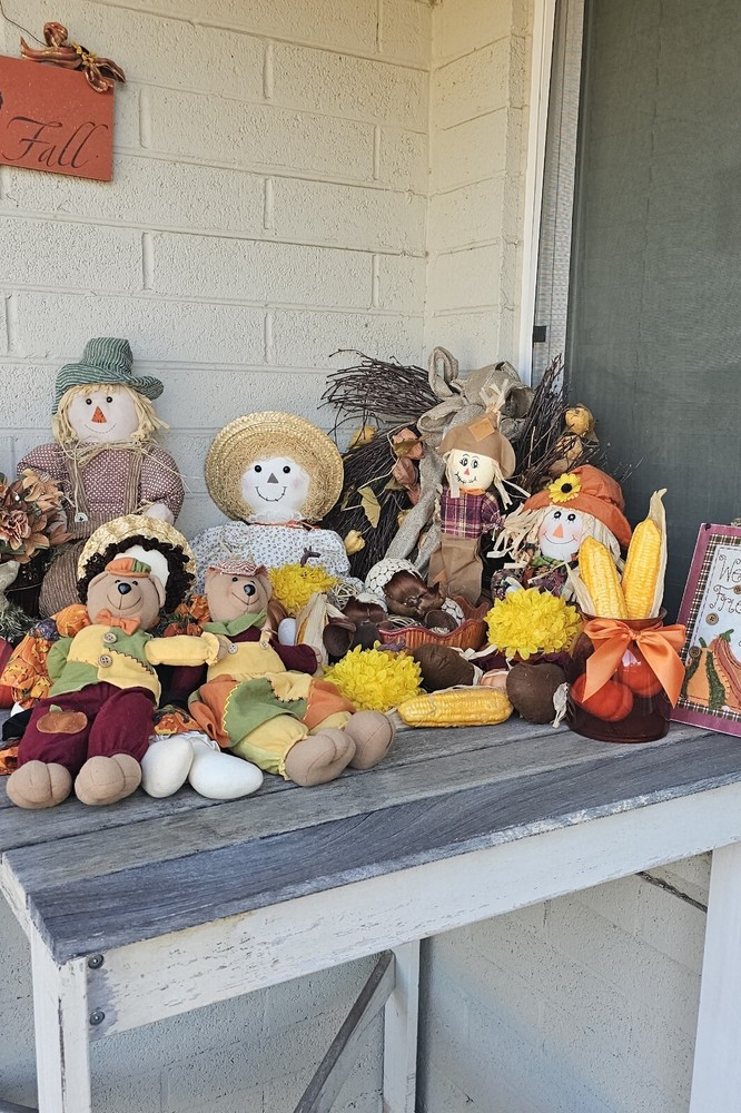Big Lot Of Fall Decor