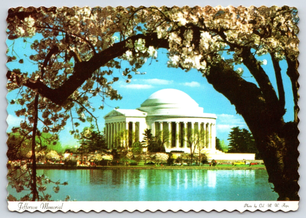 VINTAGE OLD ANTIQUE POSTCARD JEFFERSON MEMORIAL BASIN TREES WASHINGTON D.C. USA