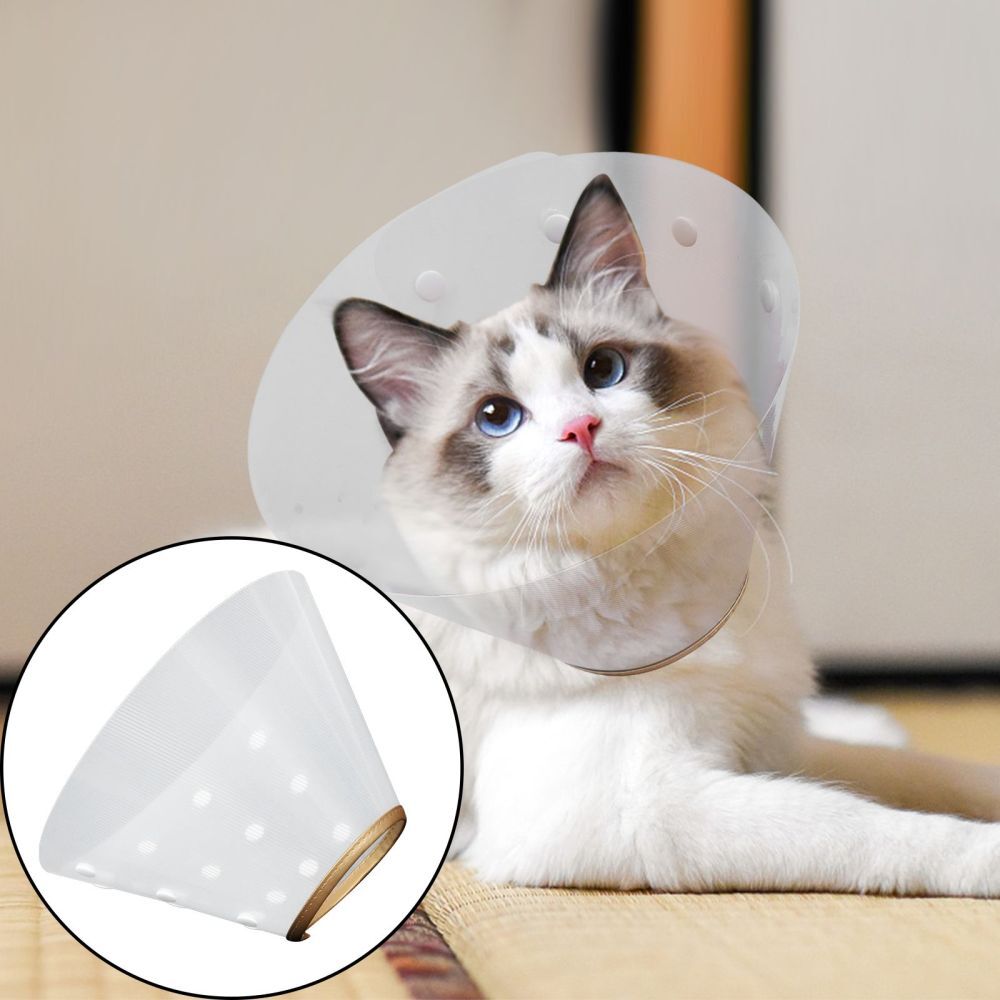 Transparent Pet Recovery Collar for Dogs and Cats