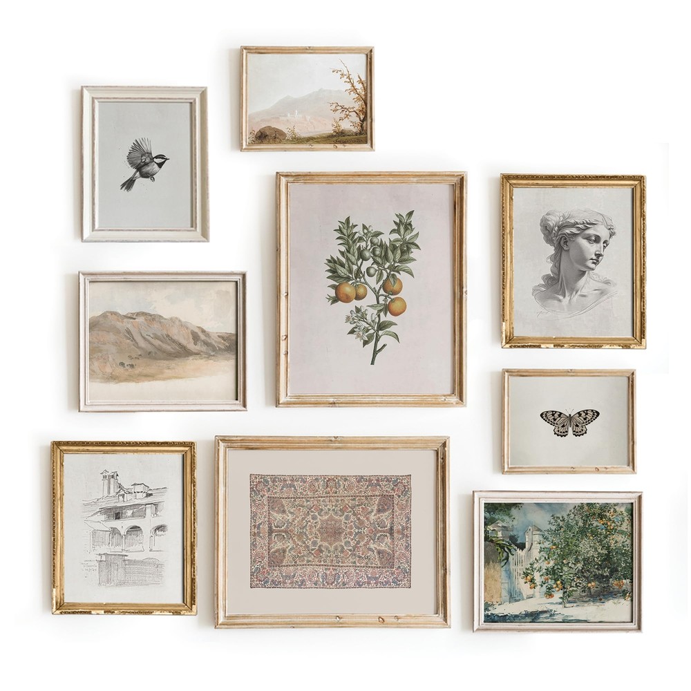 Vintage Wall Art, Vintage Birds, Sketch Art Decor, Botanical Prints For Frami...