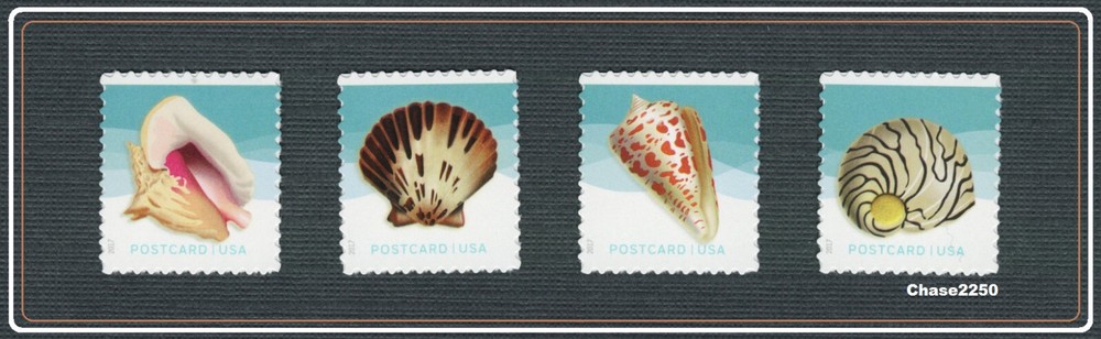 Scott 5163-5166 Seashells Postcard Rate Pane Set of 4 Mint NH 2017