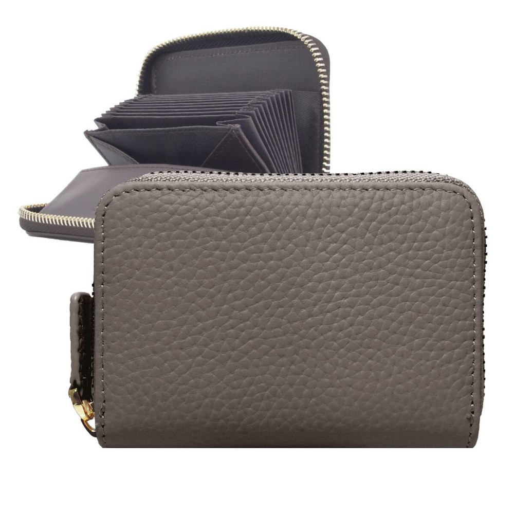 Slim RFID-Blocking Giselle Credit Card Holder with Coin Pocket for Men-image