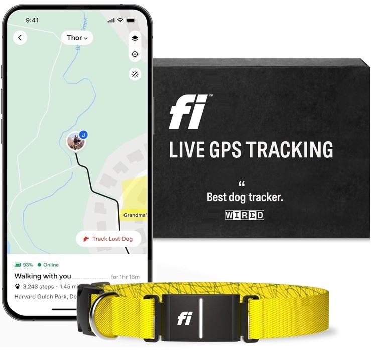 Fi Series 3 Smart Dog Collar YELLOW LARGE - GPS Tracker Activity & Fitness Monit