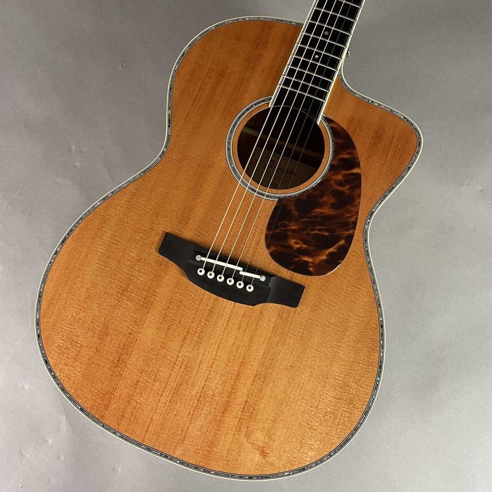 Takamine LTD2022 Acoustic Guitar
